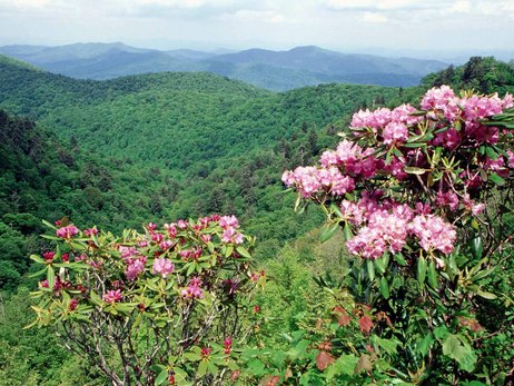 Hagley Gap, Blue Mountains, Jamaica