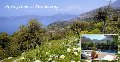 Spring has come to Turkey